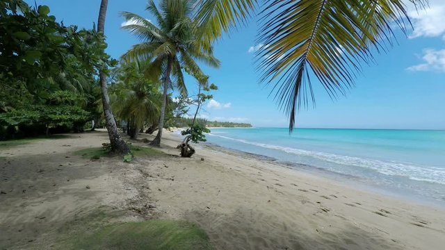 amazing tropical beach playa bonita in the dominican republic