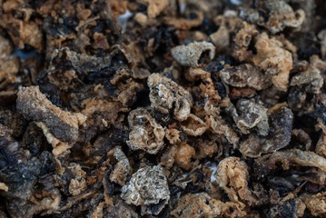 fried fish skin 