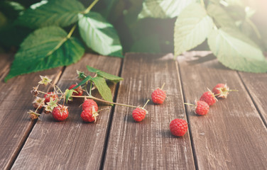 Raspberries near bush on wooden table in garden