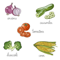 Set of isolated hand drawn vegetables: broccoli, corn, onions, tomatoes, cucumber