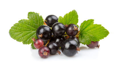 Bunch of ripe black currant berries isolated