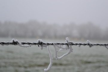 Clôture hivernale en campagne 2