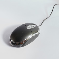 mouse