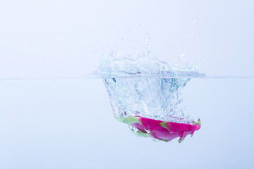 Dragon fruit splashing in water