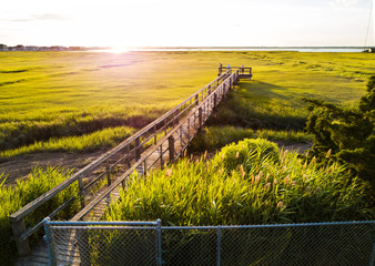 Wooden bridge over a swamp in Wildwood New Jersey
