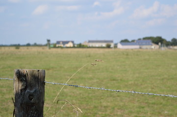 Campagne → Barrière Focus 2