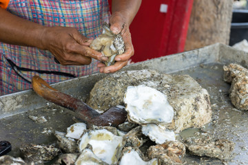 motion of hands shucking shell oyster © cossmix