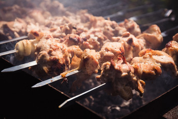 Marinated Chicken Kabobs. Cooking meat on the fire. Close