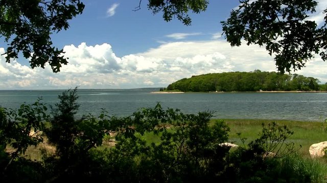 Exotic summer oasis view through tree canopy Toby's island Pocasset Bourne Cape Cod
