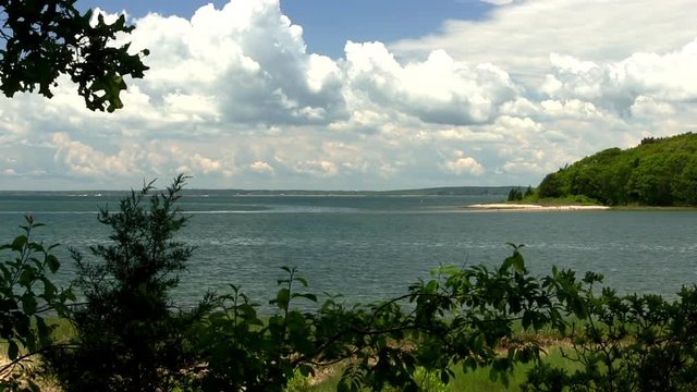 Exotic summer paradise view through tree canopy Toby's island Pocasset Bourne Cape Cod