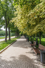 Novodevichy park view in Moscow, Russia