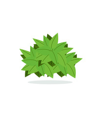 Illustration of a green bush on a white background