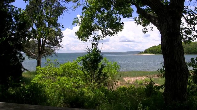 Buzzards bay through tree canopy at Bennets Neck Pocasset Bourne Cape Cod