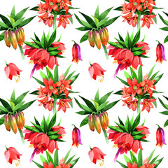 Wildflower Fritillaria imperialis flower pattern in a watercolor style. Full name of the plant: Fritillaria imperialis Aquarelle wild flower for background, texture, wrapper pattern, frame or border.