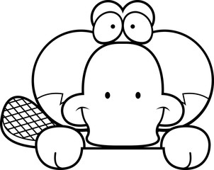 Cartoon Platypus Peeking