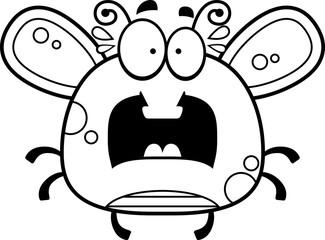 Scared Little Fly