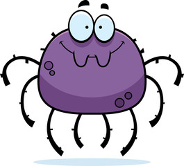 Smiling Little Spider