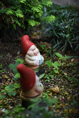 コロボックルvol-1