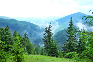 Humid fog emanating from mountain streams