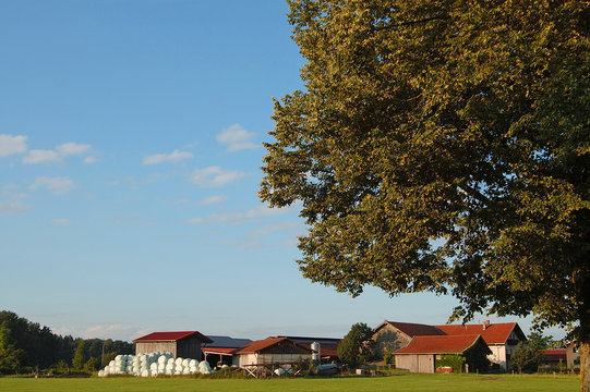 bauernhof in freilassing