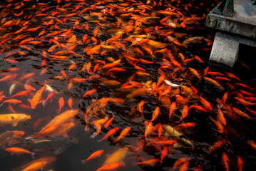 Hangzhou west lake
