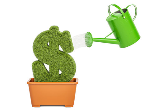 Money plant concept. Watering can water grassy dollar symbol, 3D rendering