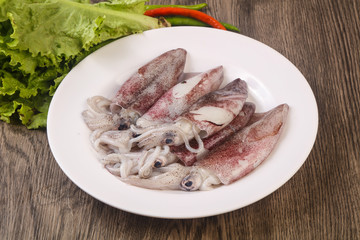 Raw squid