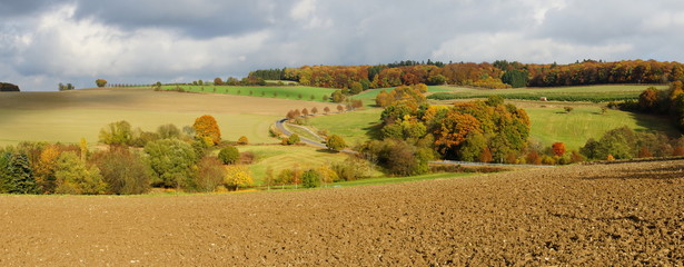 Bunter Herbstwald, grüne Felder und Acker bei Raversbeuren im Hunsrück Panorama   © beatuerk