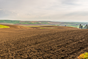 Amazing green hills. Plowed fields, an incredible drawing of the earth.  Kamiak Butte State Park Campground,  Whitman County, Washington, USA  