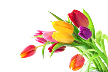Bouquet of tulips on a white background. Soft spring background. .The image is isolated. Selective focus. Copy space