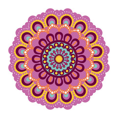 Fototapeta na wymiar white background with colorful flower mandala vintage decorative ornament vector illustration