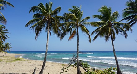 Obraz na płótnie Canvas tropical hideaway beach