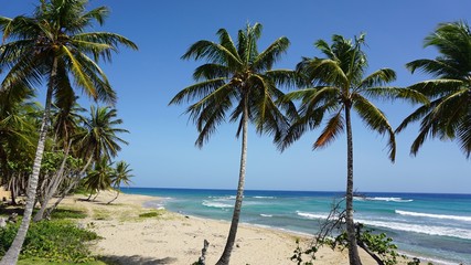 Fototapeta na wymiar tropical hideaway beach