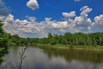 Obraz na płótnie Canvas Beautiful scenery of the nature of the Ukrainian forest and rivers on a summer evening