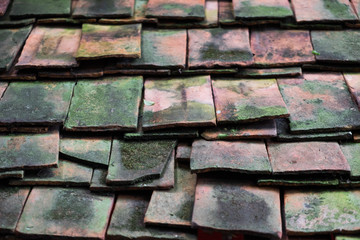Clay roof tiles with moss.