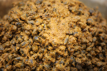 palm seed - oil production detail