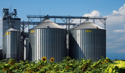 Grain silos in front of a sunflower field