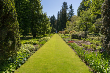 Allée de gazon frais