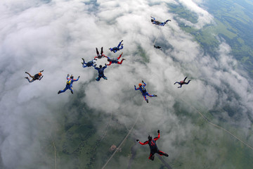 The team of skydivers is in the sky - obrazy, fototapety, plakaty