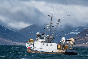 Commercial fishing vessel heading into a storm towards the end of Isafjordur fjord, Westfjords, Iceland