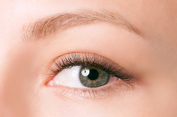 Closeup shot of female eye with day makeup