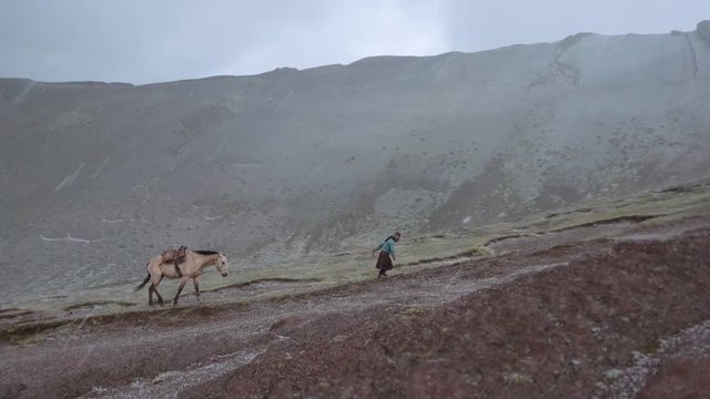 Girl pulling a mule in the mountains