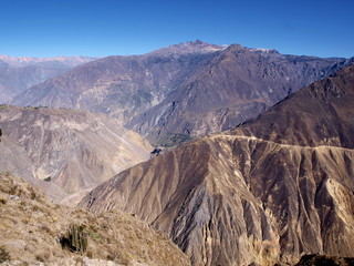 colca canyon