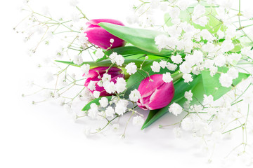 Obraz premium Pink tulip flowers on white background. celebration concept with copy space