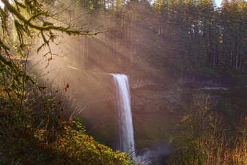 Silver Falls in Oregon