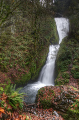 Wahkeena Falls