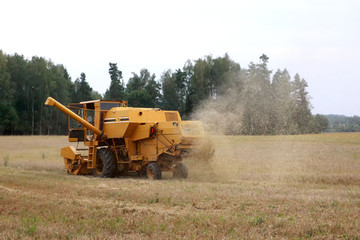 Harvesting of grain