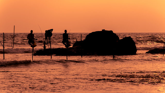 Sri Lanka: traditional stilt fishermen on the coast of Indian Ocean