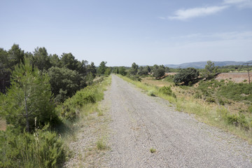 Green way black eyes in its passage by Barracas in Castellon