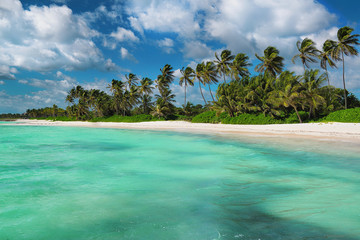 Fototapeta na wymiar Tropical white sandy beach. Punta Cana, Dominican Republic